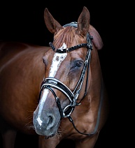 SQ25..УЗДЕЧКА "Miami"