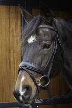 28000075..УЗДЕЧКА "Soft Bombastic"