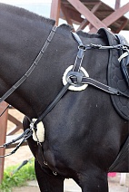 686289..ПОДПЕРСЬЕ С МАРТИНГАЛОМ ПЯТИТОЧЕЧНОЕ