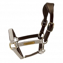 42560..НЕДОУЗДОК "Anatomic Nylon"