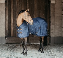 52102..ПОПОНА "Stuble Rug"