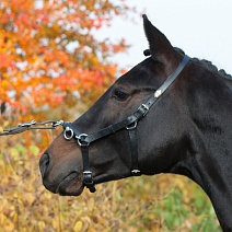 618..КАВЕССОН "Perfect"