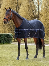 EC018PA032..ПОПОНА "REYNOSA"