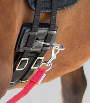 81052..СИСТЕМА ДЛЯ РАБОТЫ НА КОРДЕ