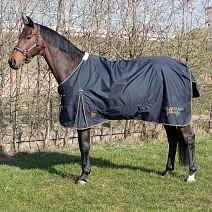 32206803..ПОПОНА ДОЖДЕВАЯ