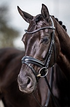 LMX282..УЗДЕЧКА "Classic Dressage"