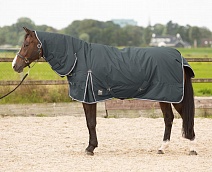 322.4714..ПОПОНА С КАПОРОМ