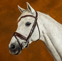 NEDCAM..УЗДЕЧКА "New English Collection"