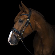 SQ21..УЗДЕЧКА "Copenhagen"