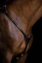 SQ47..ПОДПЕРЬСЕ "Belmond"