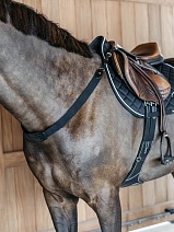 NE06G..НАГРУДНИК