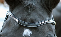 HP1379.."White Diamond"