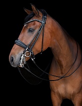 SQ..ОГОЛОВЬЕ "Edinburgh Double Crystal"