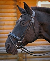 6681292..УЗДЕЧКА "SCOTT"