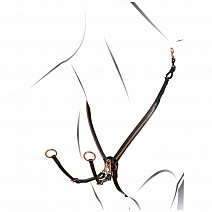 ET02012..ПОДПЕРСЬЕ С МАРТИНГАЛОМ