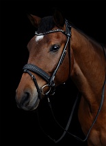 SQ18..УЗДЕЧКА "Olympic Limited Edition"