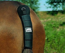 3140 01..НАХВОСТНИК