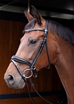 28000068..УЗДЕЧКА "Lacque"