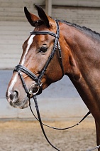 280.2182..УЗДЕЧКА "SOFT"