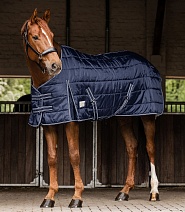 80065..ПОПОНА "ECONOMIC"