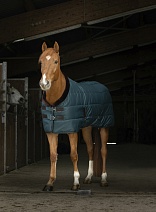 400 808..ПОПОНА "TEDDY"