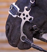 193..ХАКАМОРА