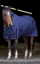 400 798..ПОПОНА "EQUITHÈME 840D"