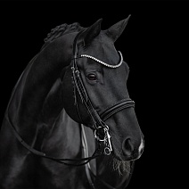 3169..ОГОЛОВЬЕ "Grace"